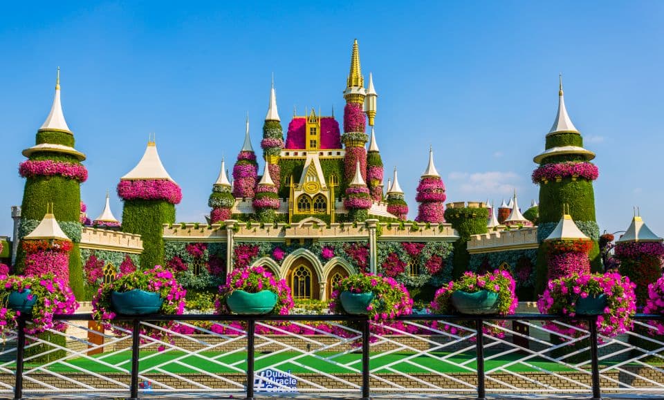 Combo: Global Village + Miracle Garden - Image 9