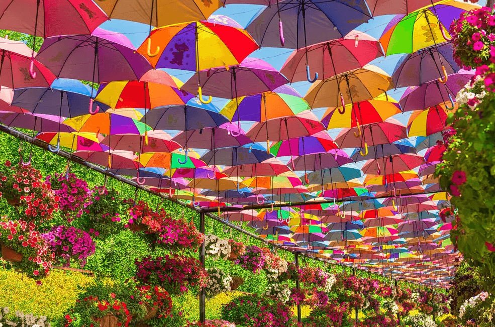 Combo: Global Village + Miracle Garden - Image 12