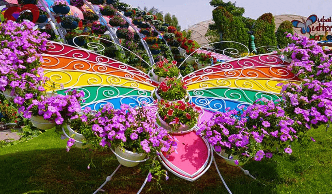 Combo: Miracle Garden + Butterfly Garden - Image 7