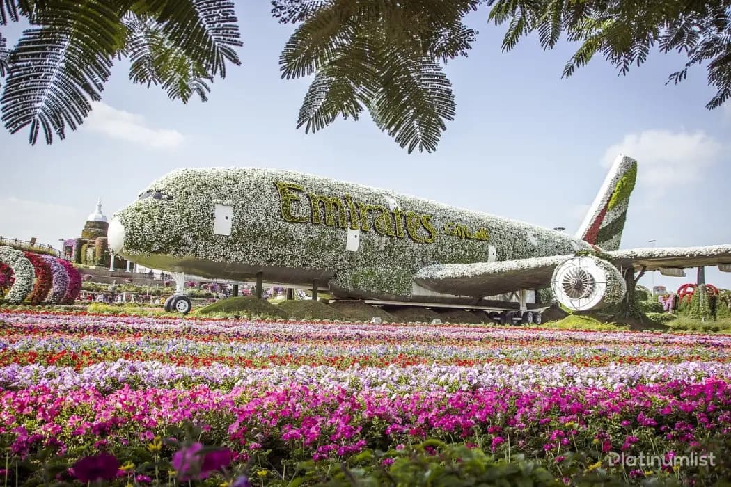 Combo: IMG Park + Global village + Miracle Garden - Image 7