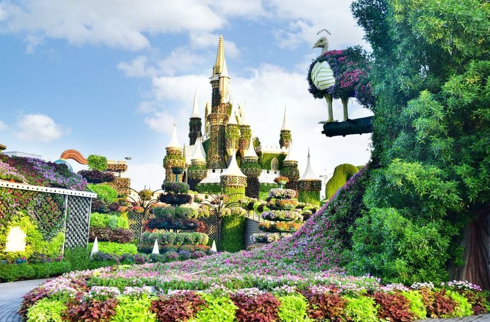 Combo: Global Village + Miracle Garden - Image 7